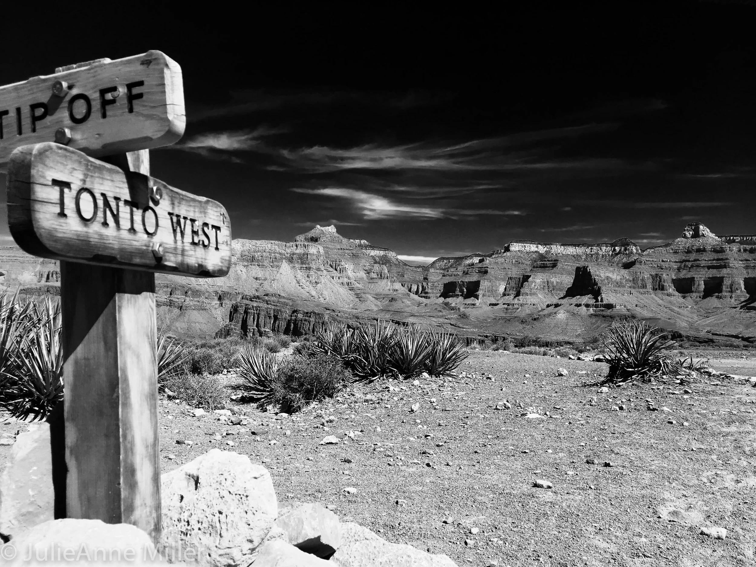 GRAND CANYON No.350( HC付き) Arizona: Grand Canyon — Travel Is Zen